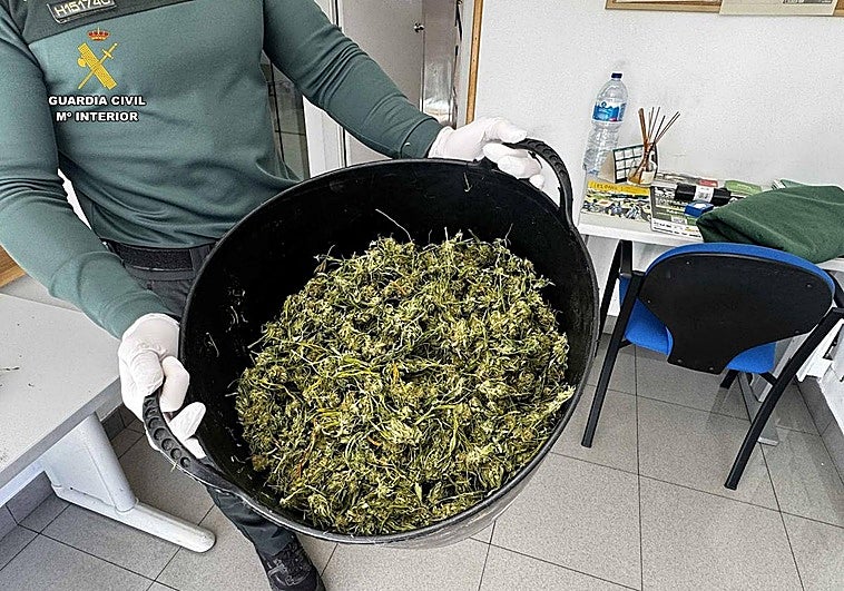 Dos agentes de patrulla encuentran una plantación de maría por el fuerte olor